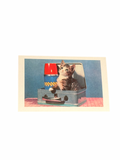 Kitten in lunchbox postcard