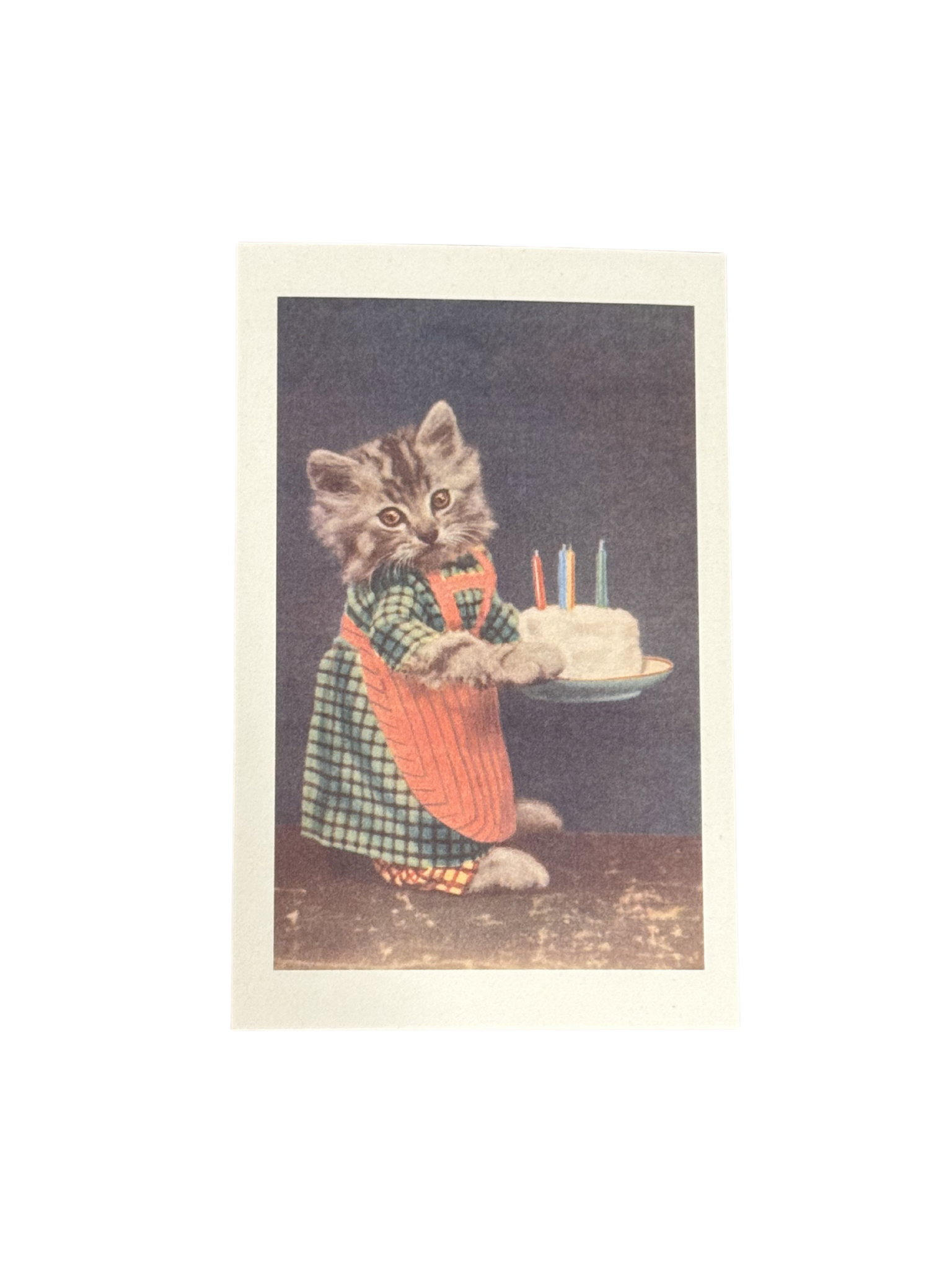Birthday Kitty Postcard